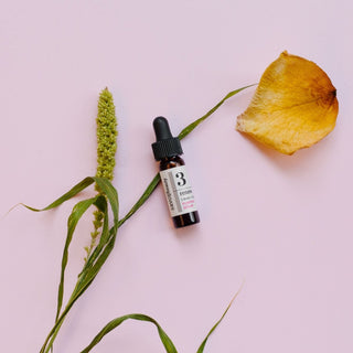 Pumpkin Serum Skincare Travel Size