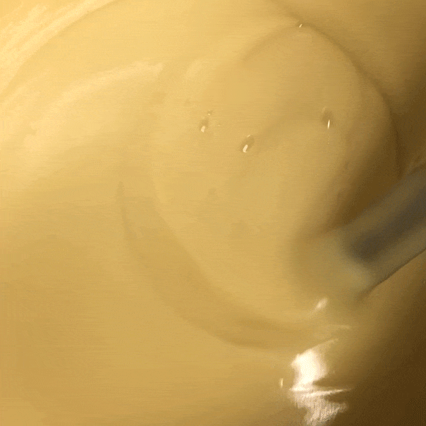 Organic Hand + Body Wash