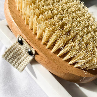 close up of dry brush bristles
